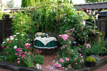 Bild "garten1.jpg"